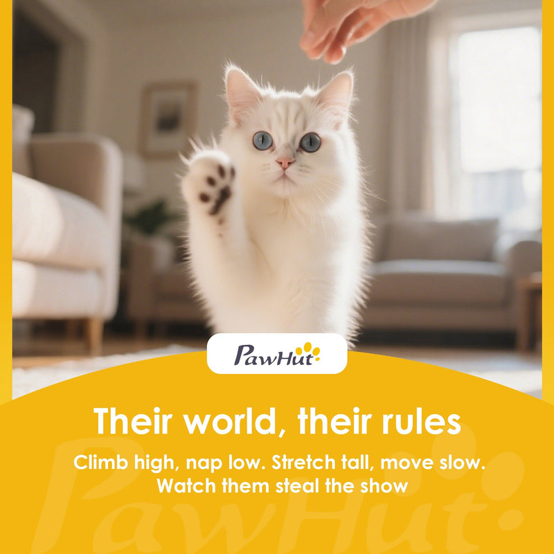 PawHut brand image of a white cat reaching up in a living room