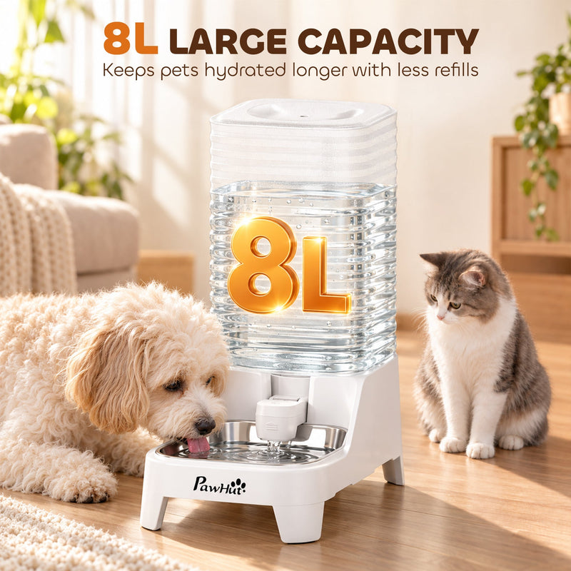 Dog and cat beside the water dispenser with an 8L large capacity label