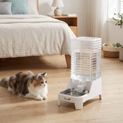 Cat resting near the water dispenser in a bedroom