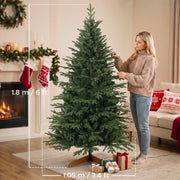 6ft tree dimensions of 1.8 m high and 1.05 m wide, shown beside a woman