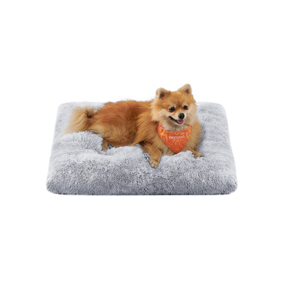 Pomeranian dog wearing an orange Feandrea bandana lying on the grey ombré fluffy dog bed