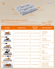 Dimensions diagram showing the size S dog bed at 65 x 45 x 10 cm with a breed size guide chart