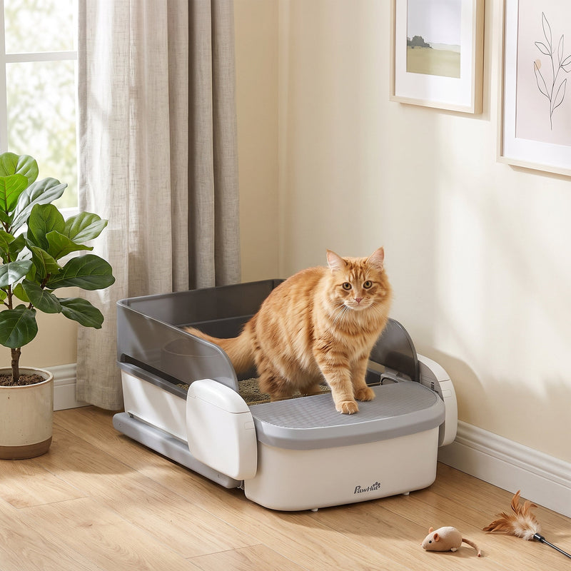 Ginger cat standing on the self-cleaning litter tray in a living room
