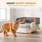 Ginger cat beside the litter tray with 1 infrared and 4 weight sensor graphic