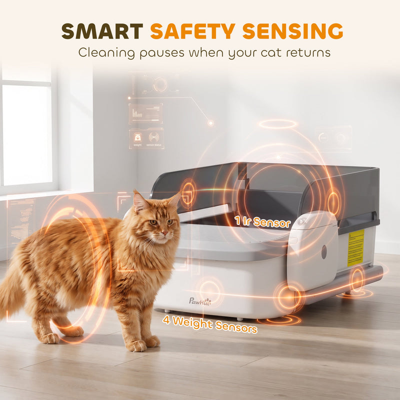 Ginger cat beside the litter tray with 1 infrared and 4 weight sensor graphic