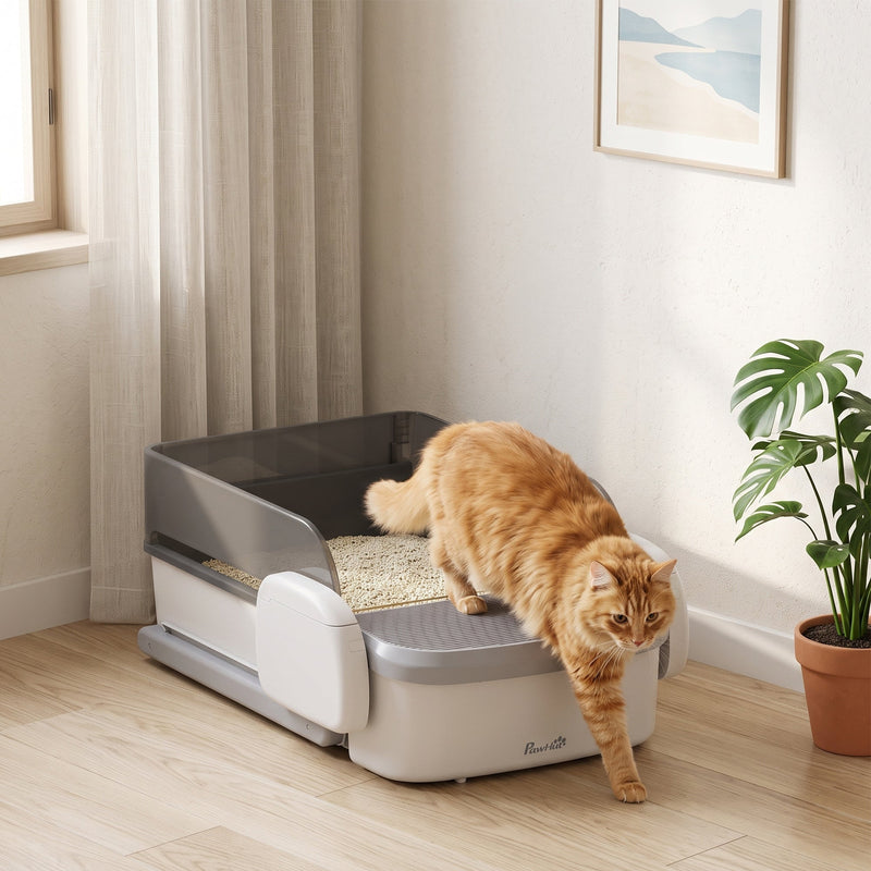 Ginger cat stepping out of the open-top litter tray on a wooden floor