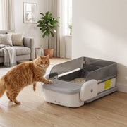 Ginger cat resting a paw on the litter tray in a living room