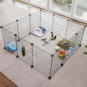Guinea pig inside the assembled cage on a rug with hideout, hay, food bowl and water bottle