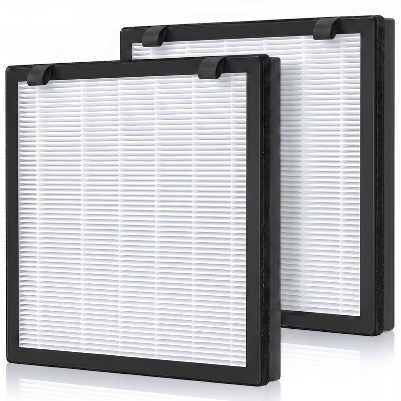 Pair of rectangular H13 HEPA replacement filters with black frames