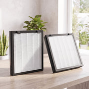 Two filters angled on a wooden table beside a houseplant