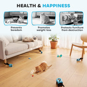 Automatic Cat Toy With Adjustable Track For Indoor Play And Furniture Protection Black Pawhut