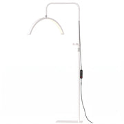 White half moon beauty floor lamp, studio view