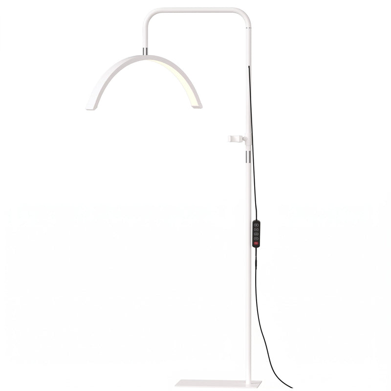 White half moon beauty floor lamp, studio view