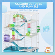 Close-up of the colourful connecting tubes and tunnels inside the cage
