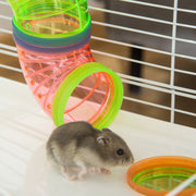 Hamster cage shown with a dwarf hamster inside