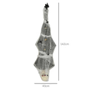 Dimensions diagram showing the hanging cocoon corpse at 142 cm long and 43 cm across