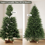 Before and after comparison of the 6ft tree unshaped and shaped on its wooden base