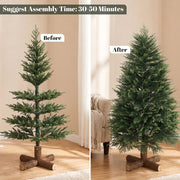 Before and after comparison of the 5ft tree unshaped and shaped, with a 30 to 50 minute assembly time label