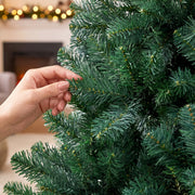 Hand holding a green fir branch tip in close-up to show the needle detail