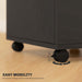 Black Lockable Mobile File Cabinet with 2 Drawers Shelf Metal Handles HOMCOM