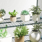 4 Tier Lean-to Mini Greenhouse with Reinforced PE Cover and Roll-Up Door by Outsunny