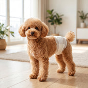 Disposable Dog Nappies for Small Male Dogs XS 48 Pack Leak Protection White Pawhut