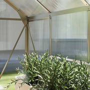 6 x 8ft Walk In Greenhouse With Sliding Door For Growing Plants Outdoors Clear AOSOM