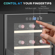Black 41 Bottle Wine Fridge 91L with Glass Door LED Light and Touch Control by HOMCOM