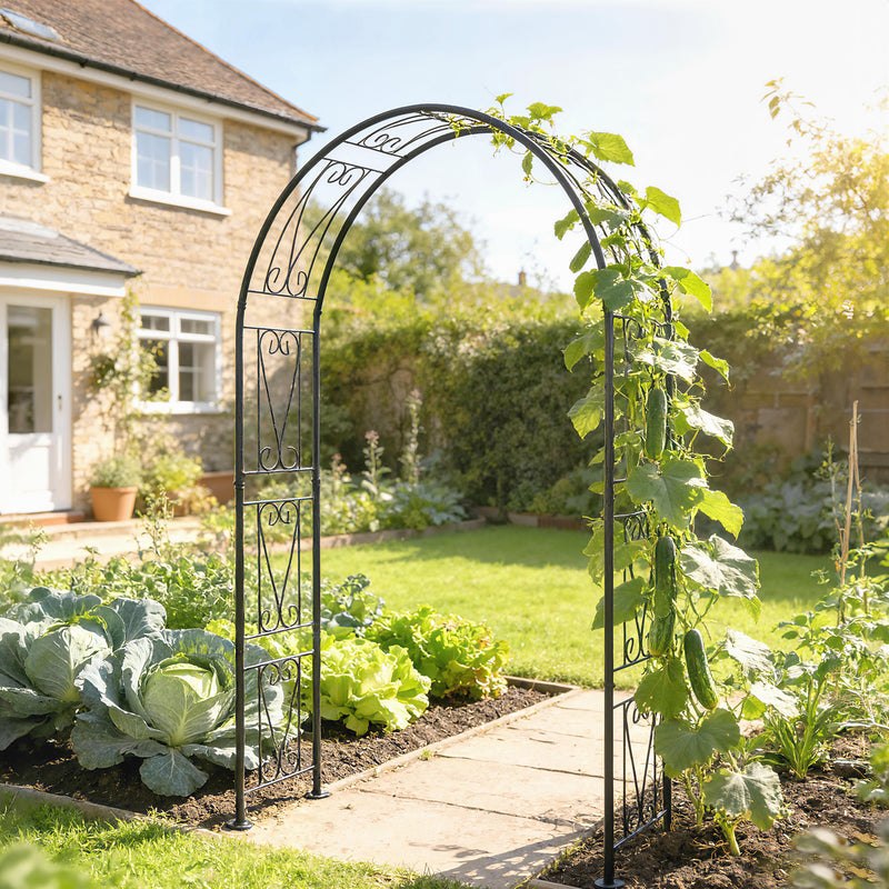 Metal Garden Arch for Climbing Plants and Outdoor Decorations Black Outsunny
