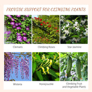 Set of 2 Metal Garden Trellises Scroll Design Supports Climbing Plants and Outdoor Vines