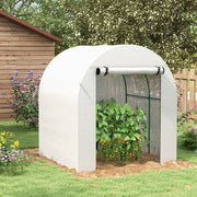 Walk In Polytunnel Greenhouse With Roll Up Door And Windows For Garden Growing White