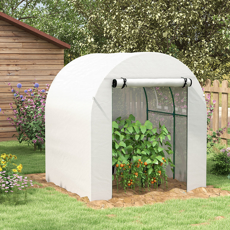 Walk In Polytunnel Greenhouse With Roll Up Door And Windows For Garden Growing White