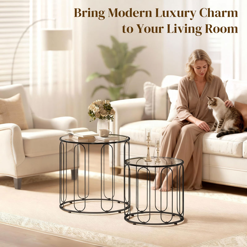 Coffee Tables, Modern Side Tables For Living Room Set of 2 - Tempered Glass & Black Metal Frame