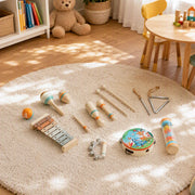 Overhead view of the instruments spread out on a cream rug