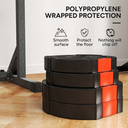 30kg Weight Plates Set With Two 10kg and Two 5kg Cast Iron Discs For Home Gym Black AOSOM