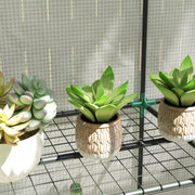 Three Tier Mini Greenhouse White Compact Plant Growhouse for Outdoors by Outsunny