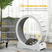 30 Inch Wooden Cat Exercise Wheel with Brake for Indoor Fitness and Play White