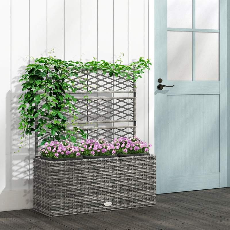 Light Grey Rattan Garden Planter with Trellis for Climbing Plants and Outdoor Display