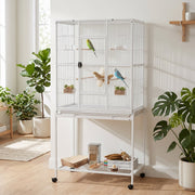 White bird cage in a bright room with three birds perched inside and plants beside it