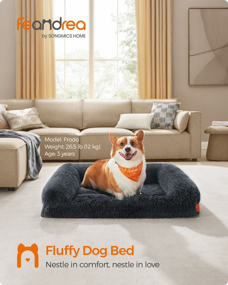 Medium dog lying in the sofa bed in a living room