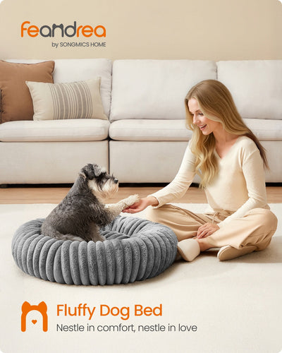 Lifestyle photo of a dog resting in the Feandrea dove grey pet bed beside its owner in a living room