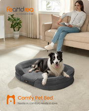 Lifestyle photo of a dog resting in the sofa bed beside a sofa in a living room
