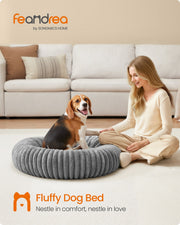 Lifestyle photo of a dog resting in the Feandrea dove grey pet bed beside its owner in a living room