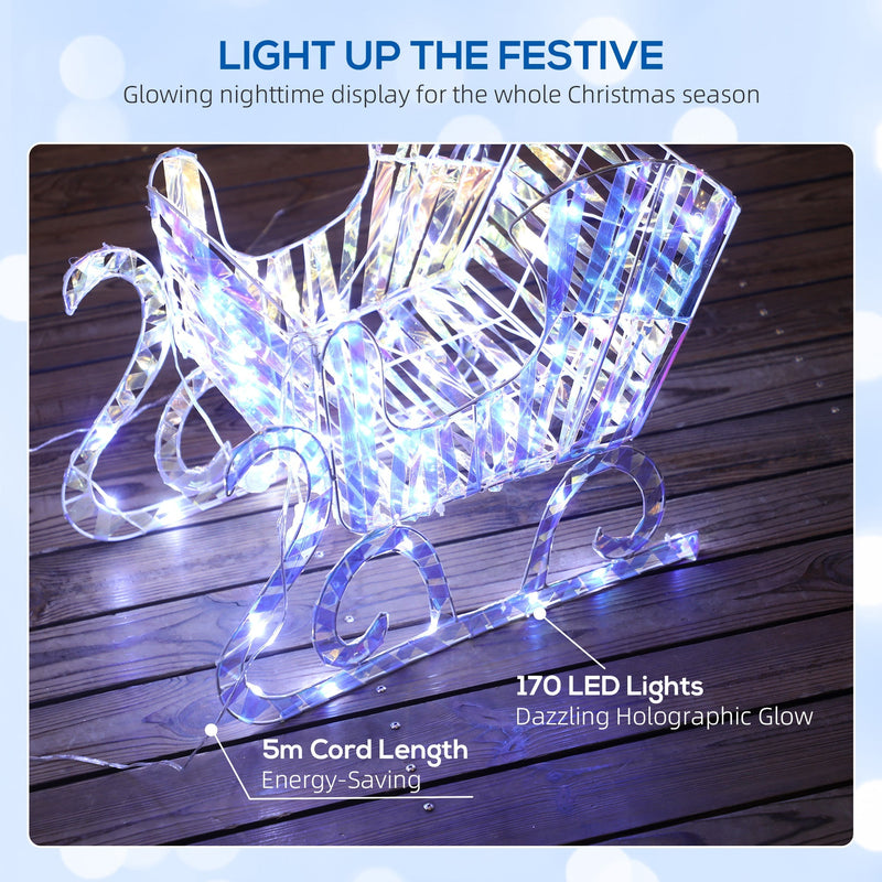 Close-up of the lit sleigh with labels for 170 LED lights and a 5 m cord
