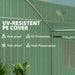 9.8 x 6.6ft Walk-In Polytunnel Greenhouse for All-Season Gardening by Outsunny