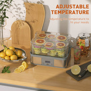 5 Tier Stainless Steel Food Dehydrator with Timer and LCD for Fruit and Jerky Grey