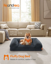 Small dog sitting on the dark grey sofa bed in a living room