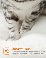 Close-up of a cat's paws on the 500 gram per square metre plush cushion