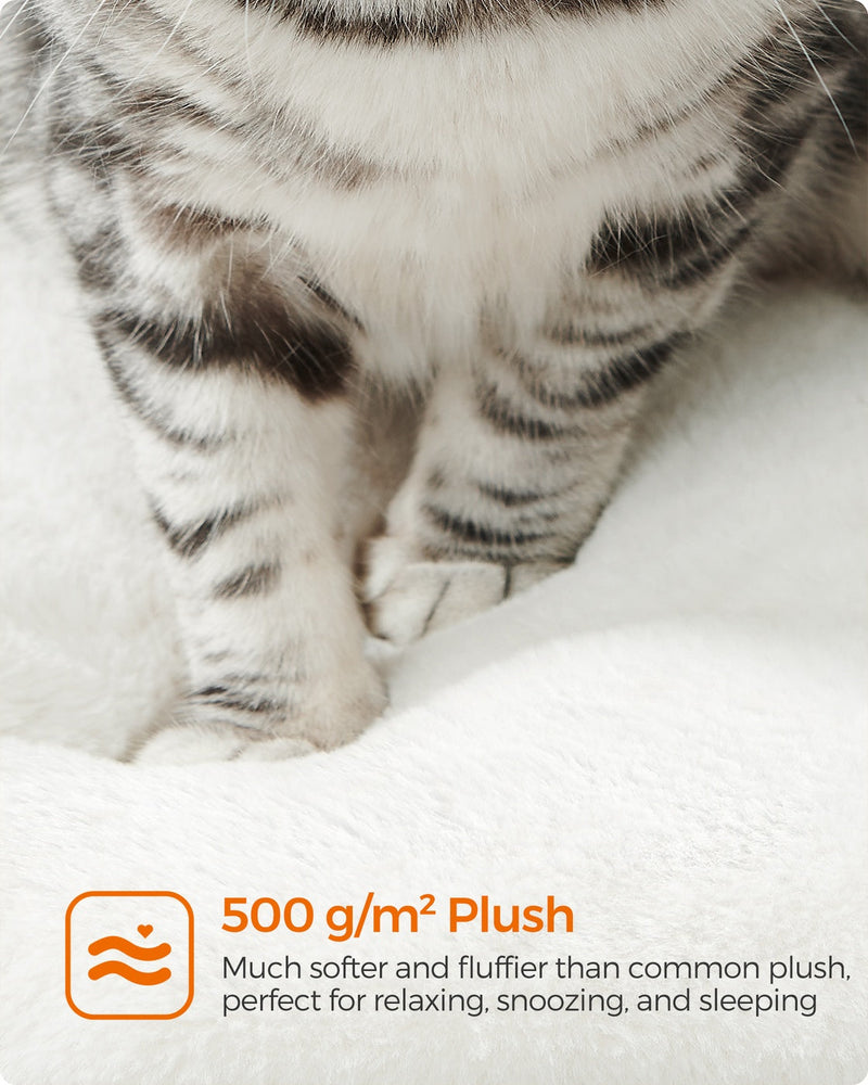 Close-up of a cat's paws on the 500 gram per square metre plush cushion