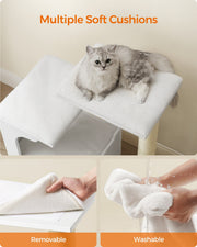 Cat resting on a plush perch cushion, shown being lifted out and rinsed for washing